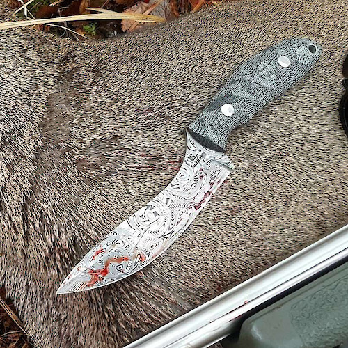 Evo Model in Damasteel put to work on a roe deer.