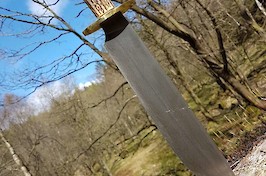 Into the woods to be put through it's paces!